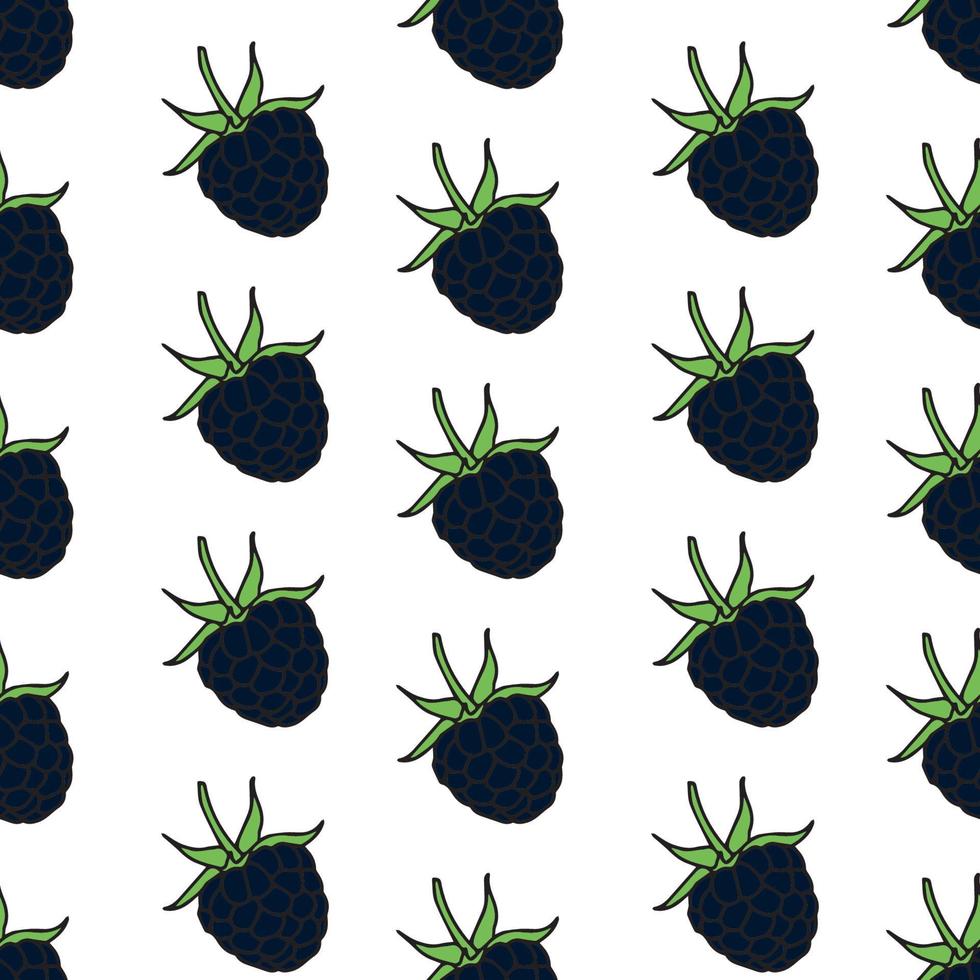 blackberry seamless pattern. Vector illustration