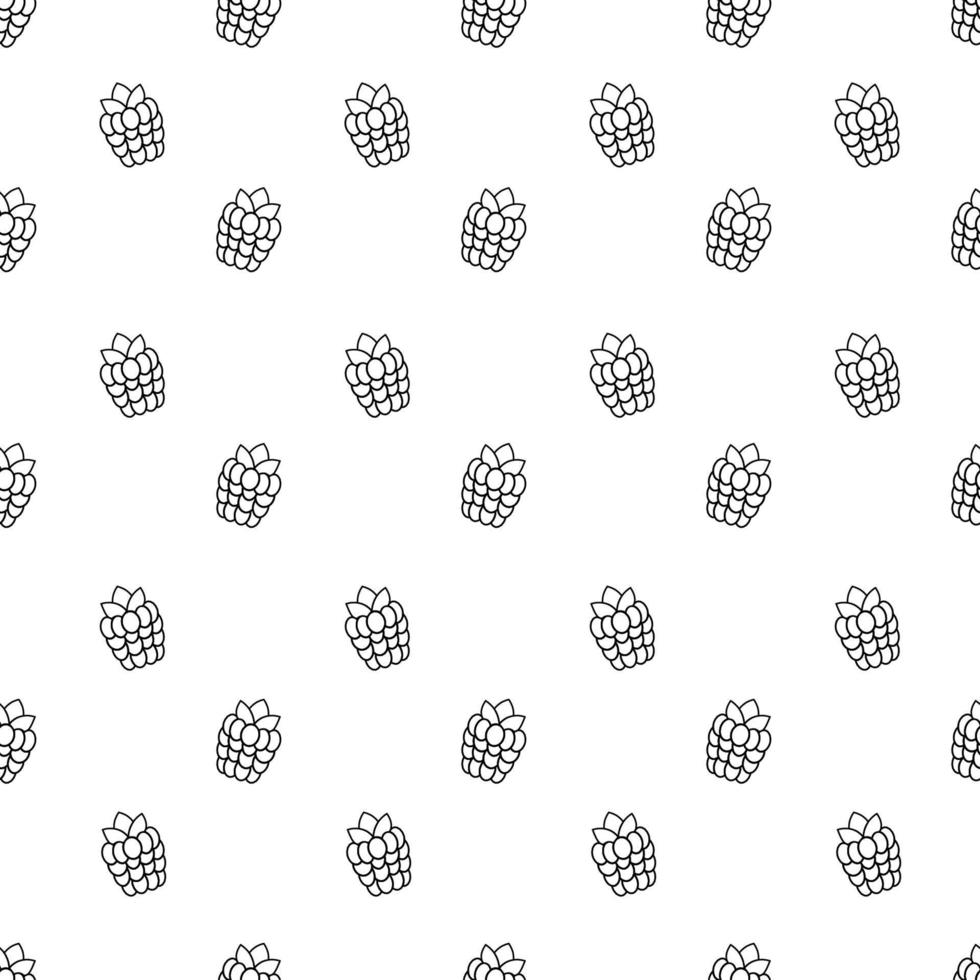 raspberries seamless pattern. Vector illustration