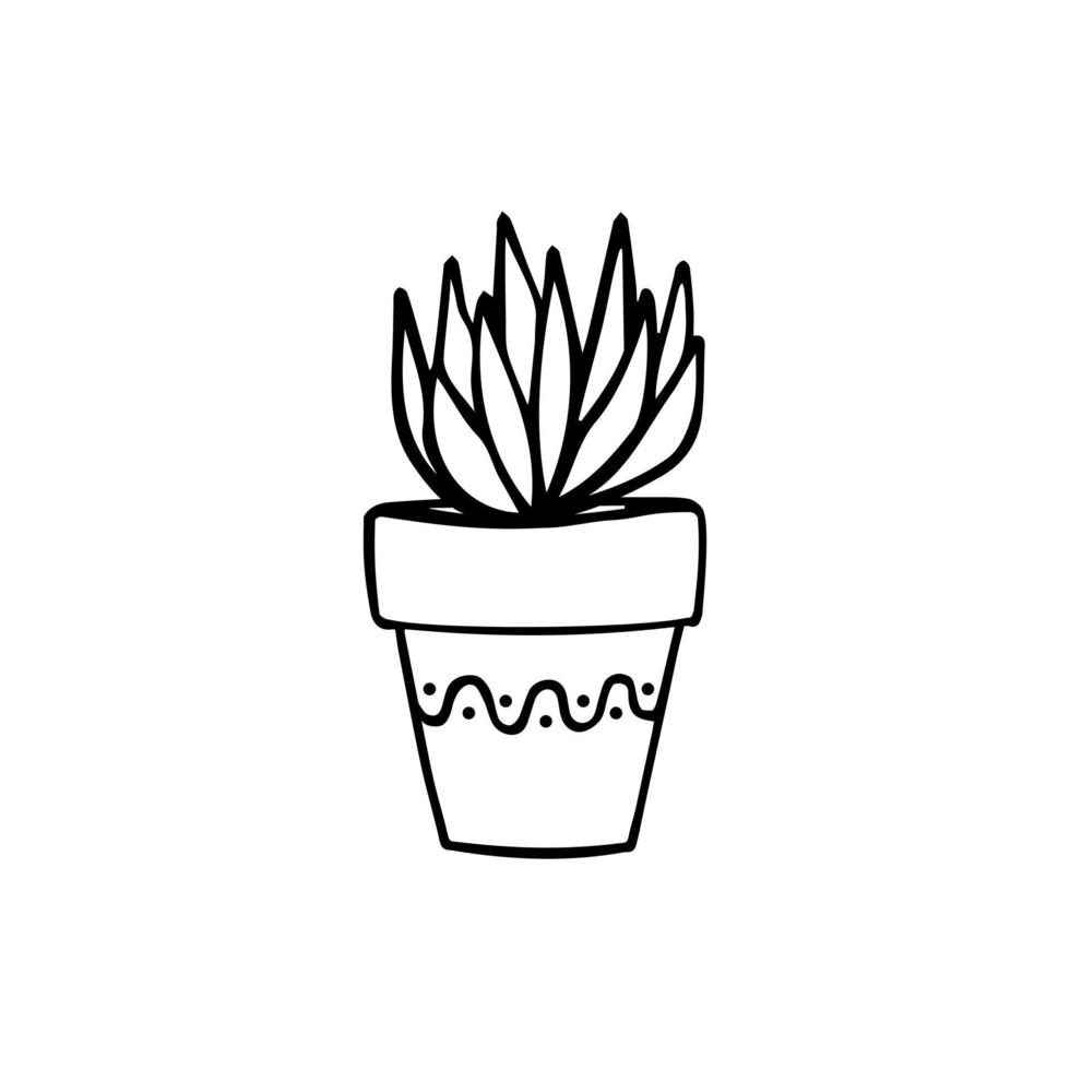 Potted flower doodle hand drawn outline icon or symbol. Decorative potted house plant sketch. Isolated vector illustration