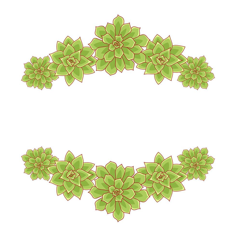 suculento marco vectorial de echeveria. ilustración de flor del desierto dibujada a mano en estilo plano. establecer suculentas de silueta sobre un fondo blanco. borde de plantas para impresión y diseño. vector