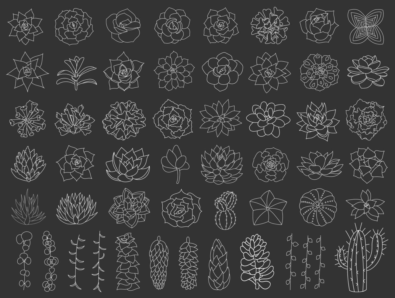 Succulent and cacti vector set. Hand drawn desert flower illustration in doodle style. Set plants with white outline. Silhouette succulents on a black background. Echeveria, aloe and cactus
