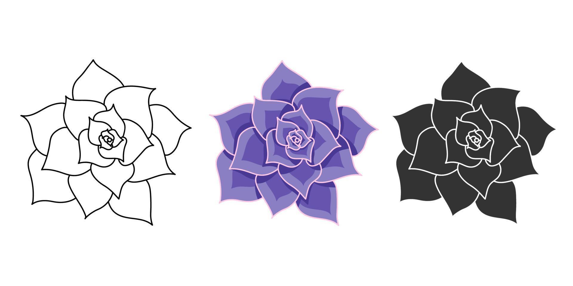 Succulent echeveria Lilacina vector set. Hand drawn desert flower illustration in flat and doodle style. Collection house plants for print and design. Isolated elements on white background