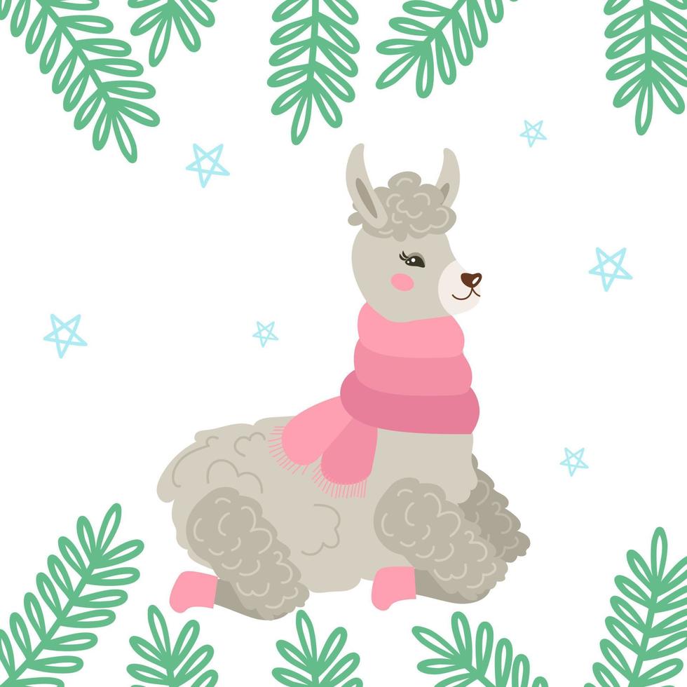 Christmas card with a cute gray llama or alpaca in winter, sitting in a warm scarf and felt boots. Decorated with spruce branches. Vector cozy illustration.