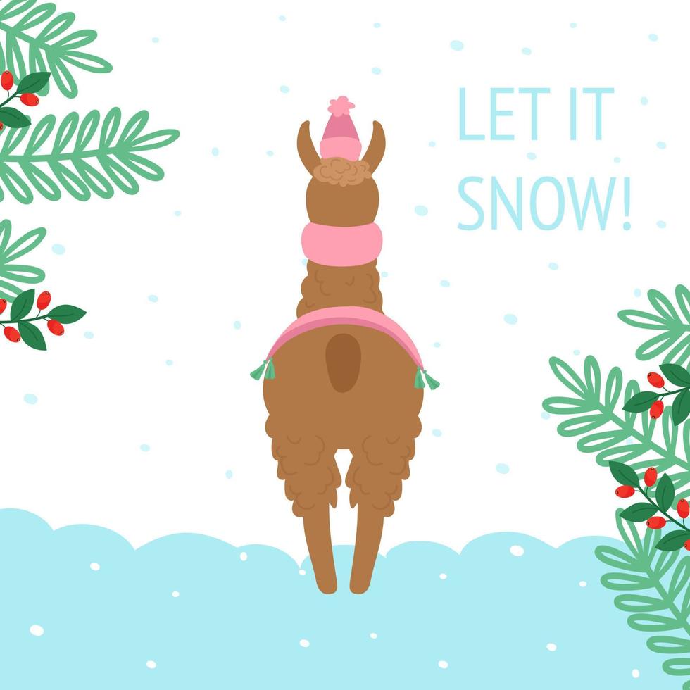 Christmas card with a cute llama or alpaca in winter, in a warm scarf, rear view. With the inscription let it snow. Decorated with spruce branches with berries. Vector cozy illustration.