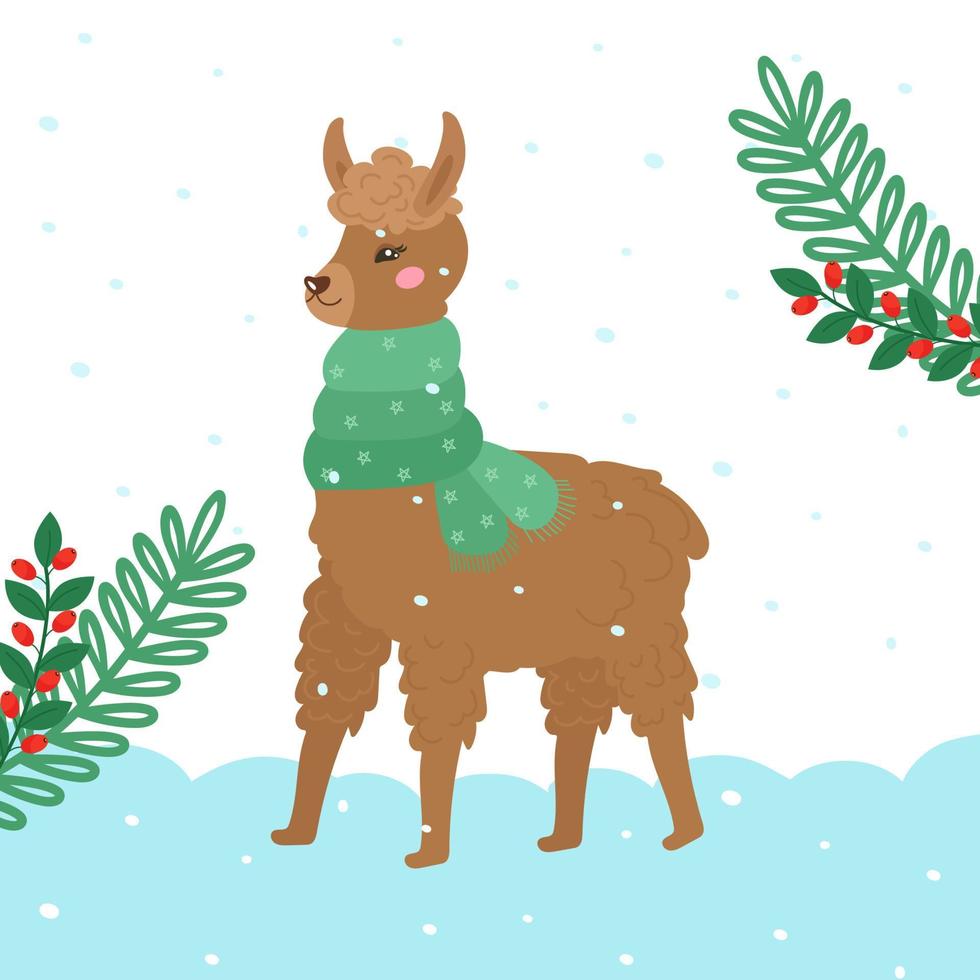 Christmas card with a cute llama or alpaca in winter, in a warm scarf. Decorated with spruce branches with berries. Vector cozy illustration.