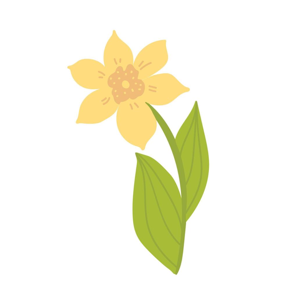 Spring botanical illustration, icon doodle yellow daffodils with green leaves. flower narcissist flat, jonquil vector