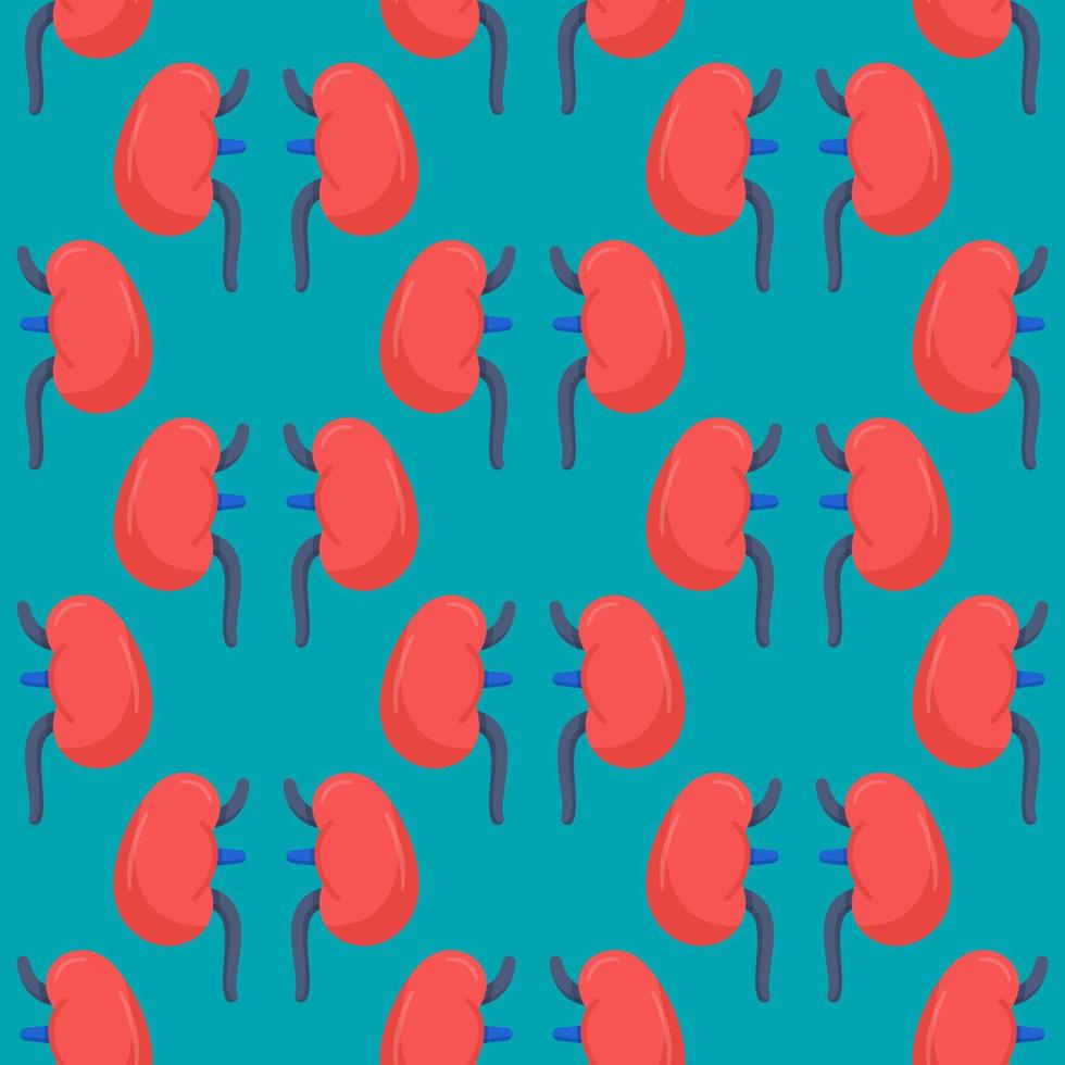 Vector illustration of kidney pattern. Eternal picture of donor body parts.