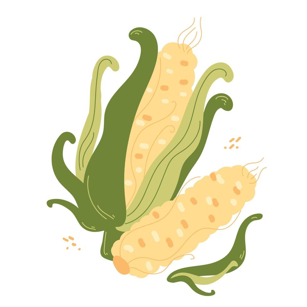 Modern corn in hand drawn style. Vector illustration