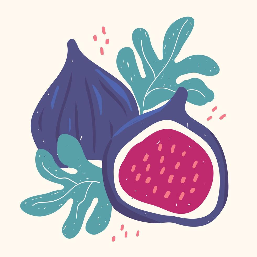 Modern figs in hand drawn style. Vector illustration