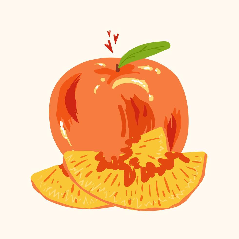 Modern peach in hand drawn style. Vector illustration