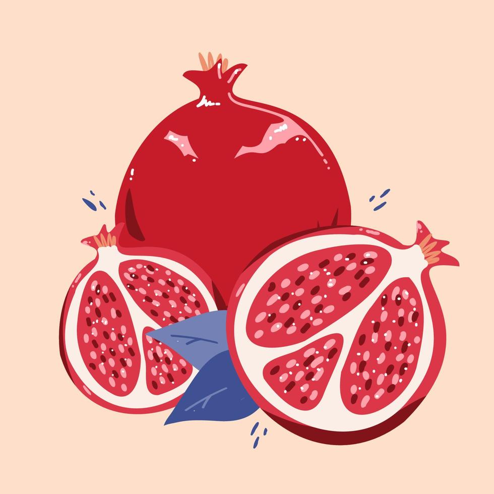 Modern pomegranate in hand drawn style. Vector illustration