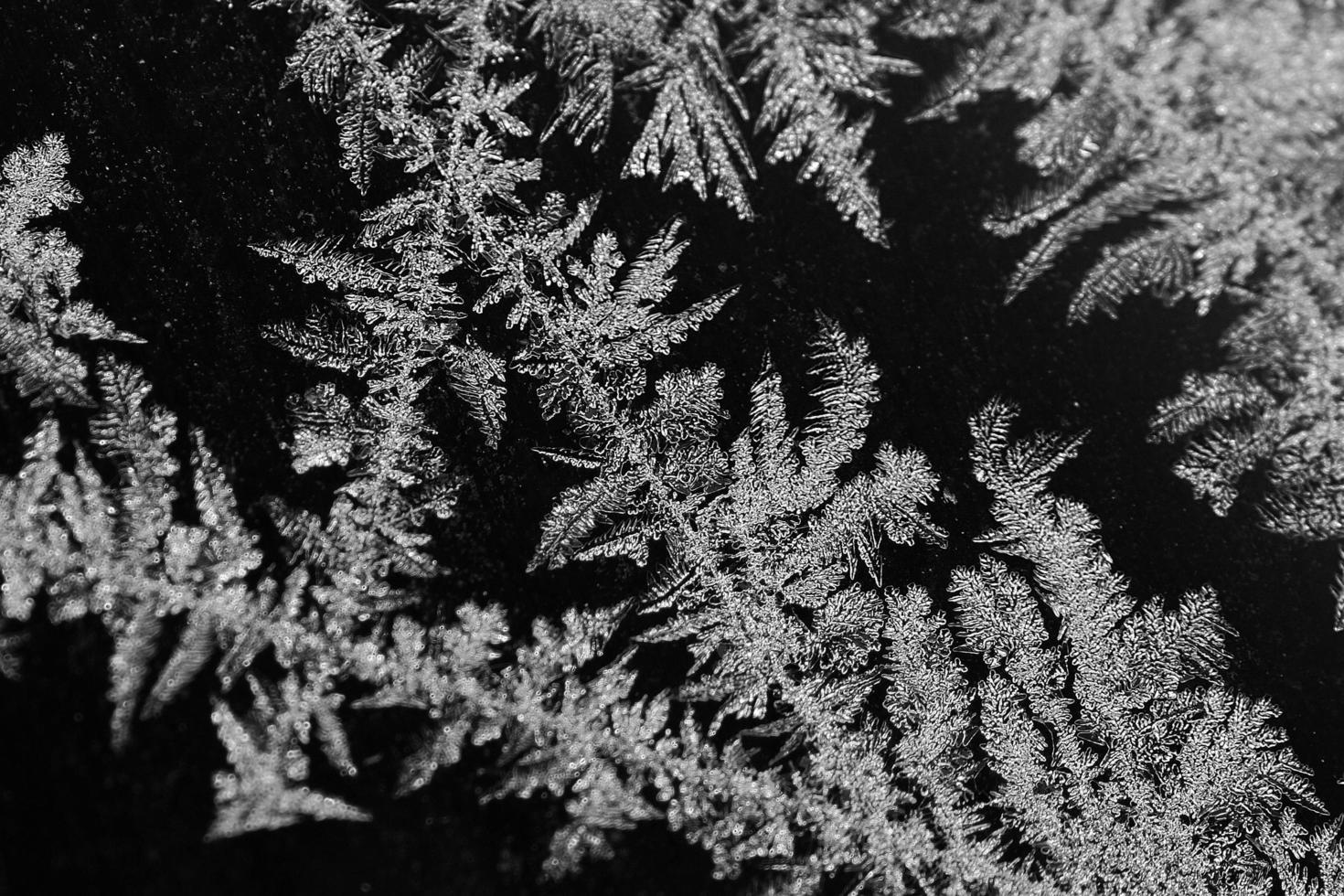 ice crystals detail photo