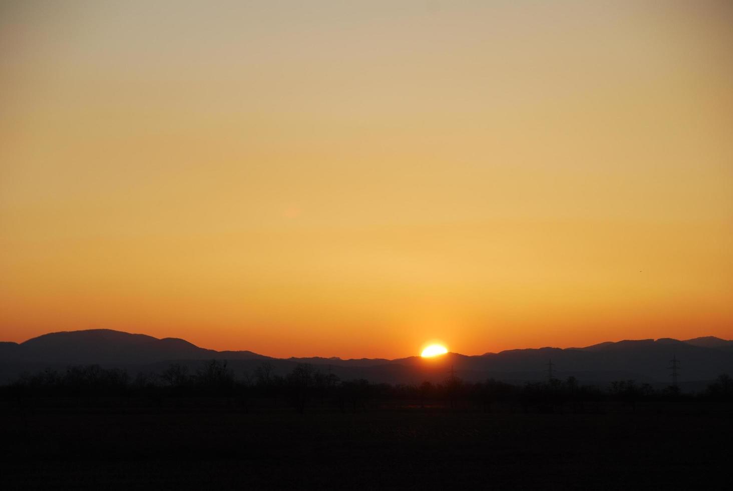 warm sunset in the summer photo