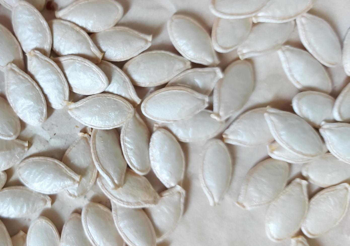 las semillas de calabaza están sobre la mesa. patrón natural fondo monocromo. comida. foto
