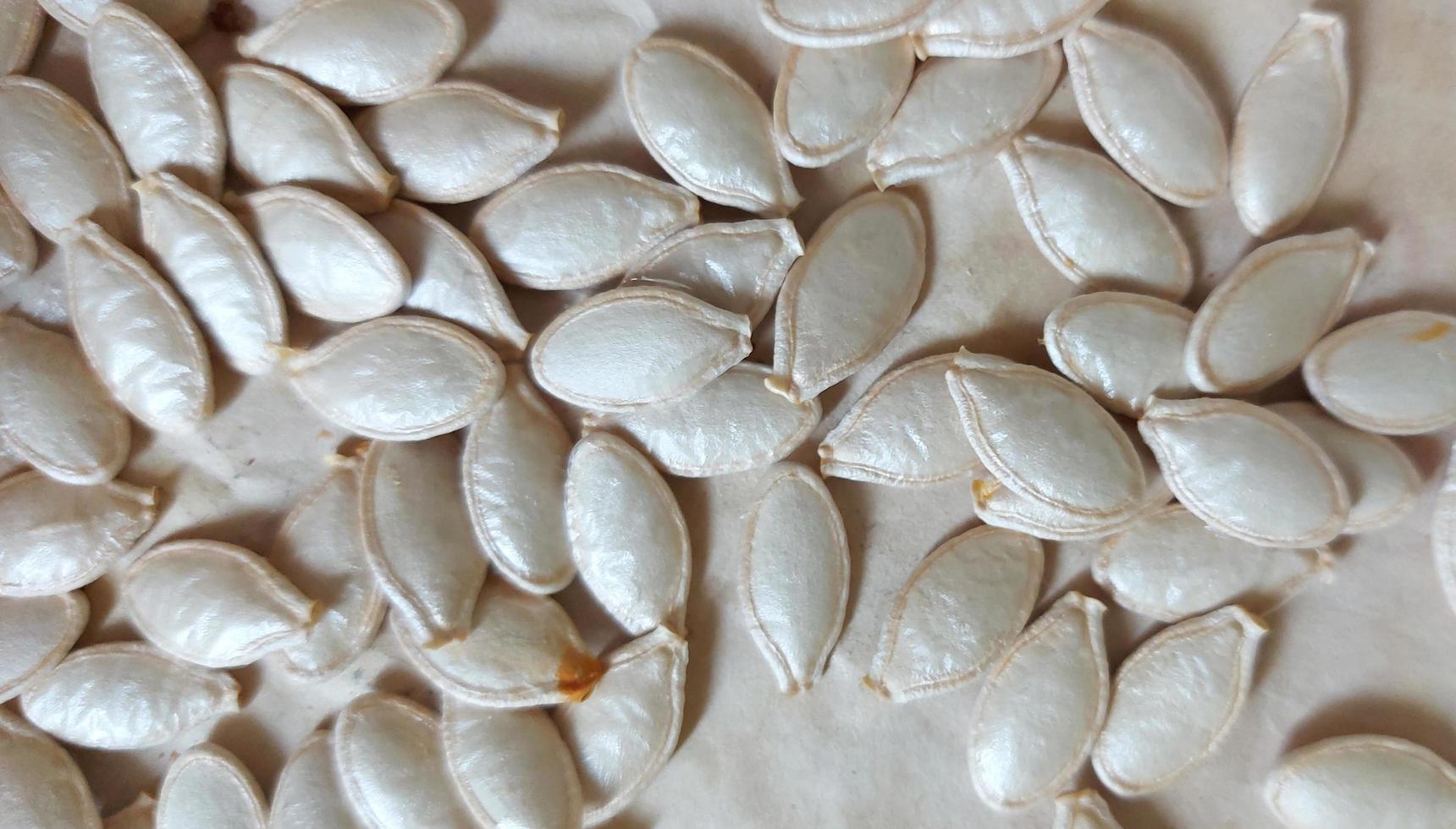 las semillas de calabaza están sobre la mesa. patrón natural fondo monocromo. comida. foto