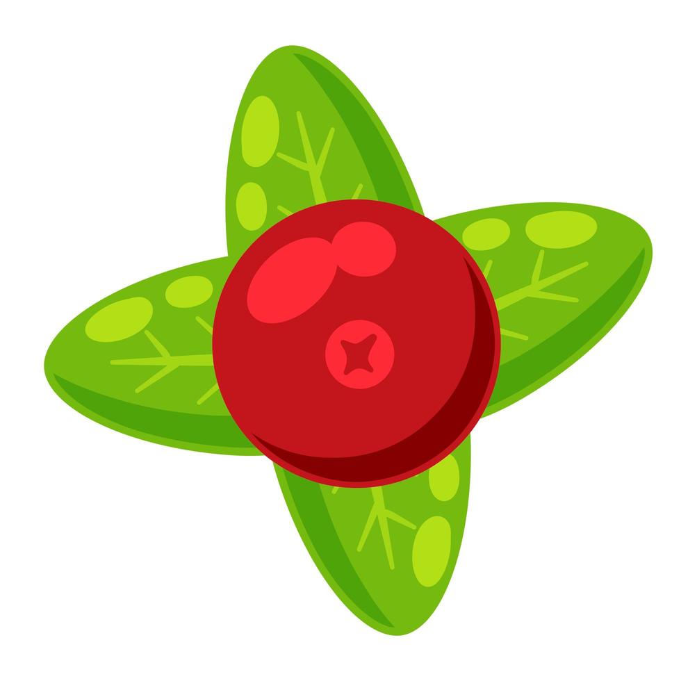 Red currant with green leaves. Cranberry berry. vector