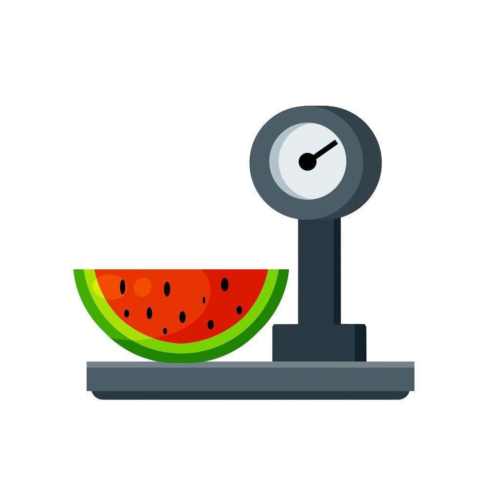 Watermelon on scale. Weighing of fruit. Decoration for the store and counter vector