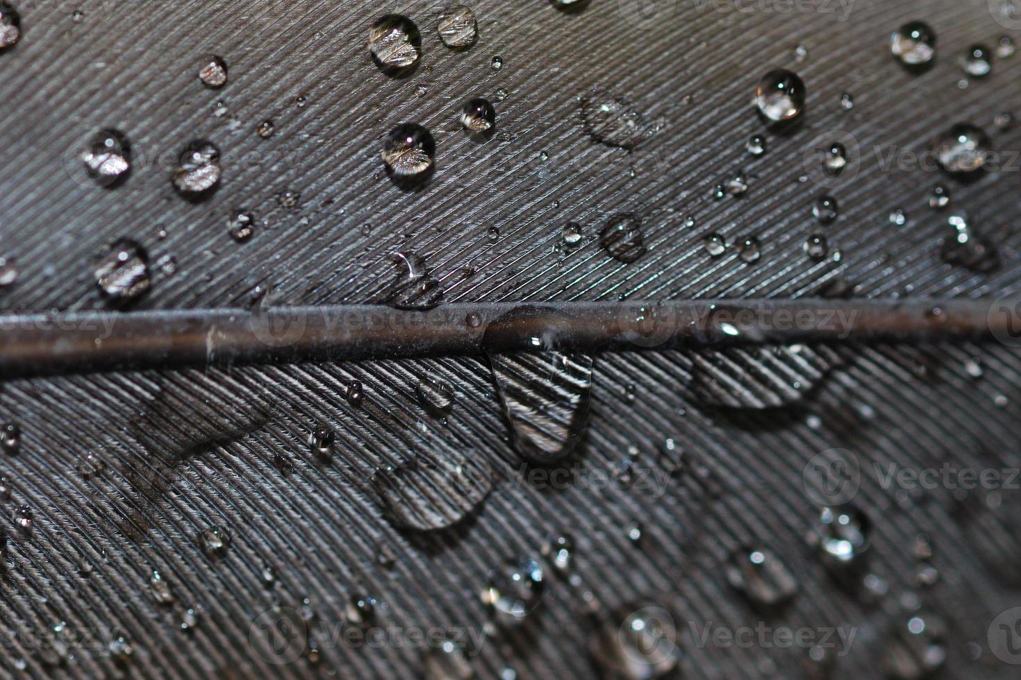 driworks moisture wicking