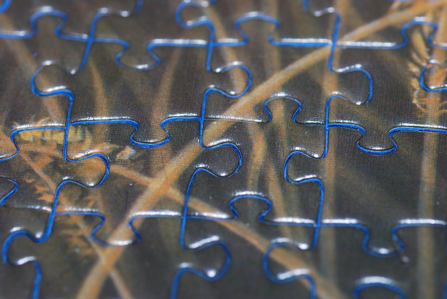 closeup of many puzzle pieces put together with blue photo