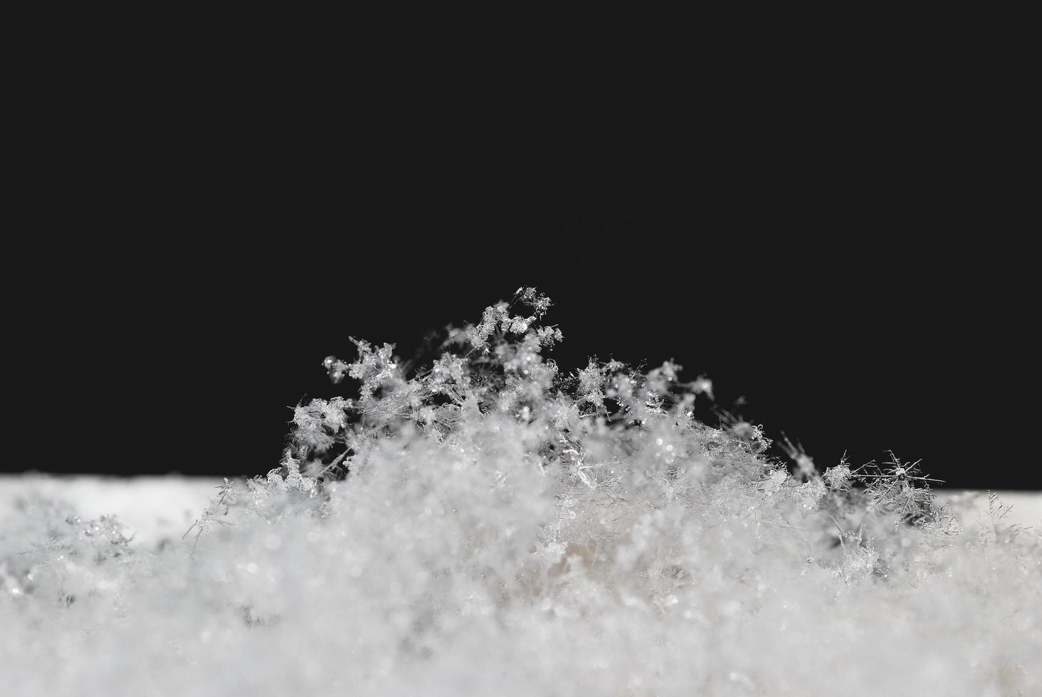 many snow crystals photo