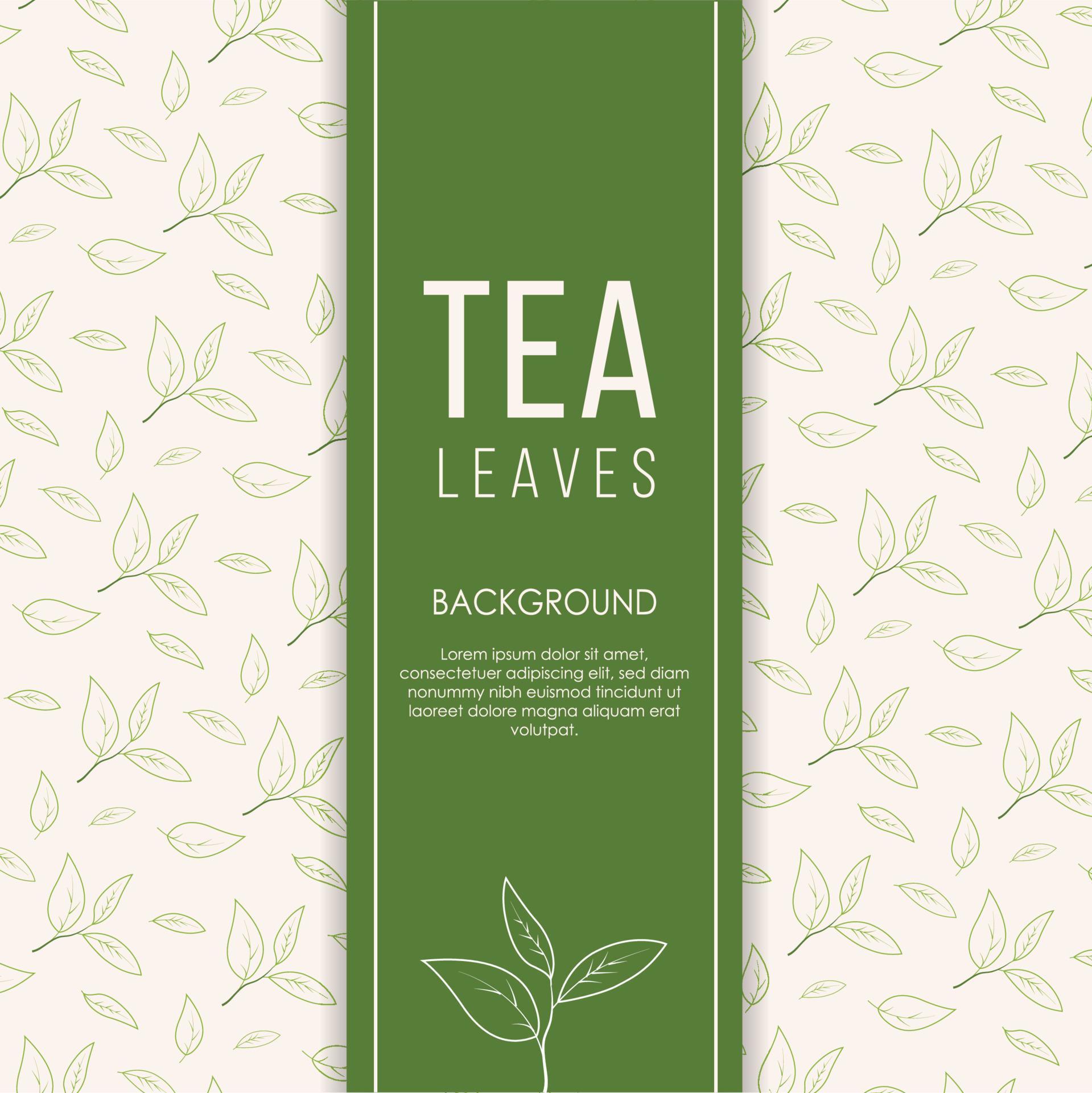 Tea leaves background in hand drawn style Vector. Design for packaging