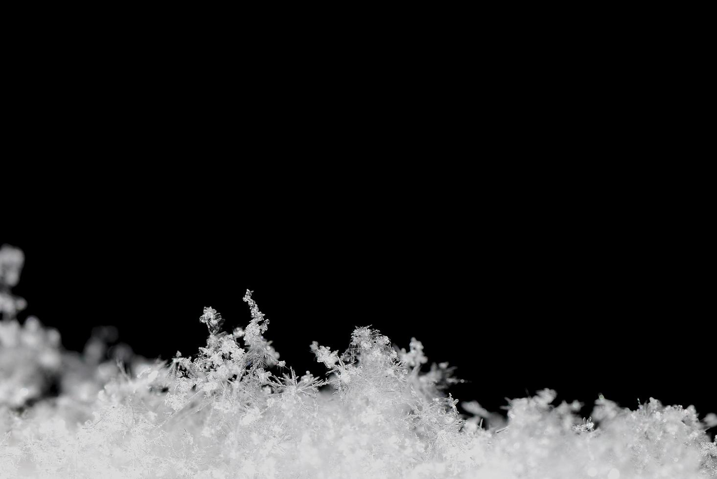 flat snow crystals photo