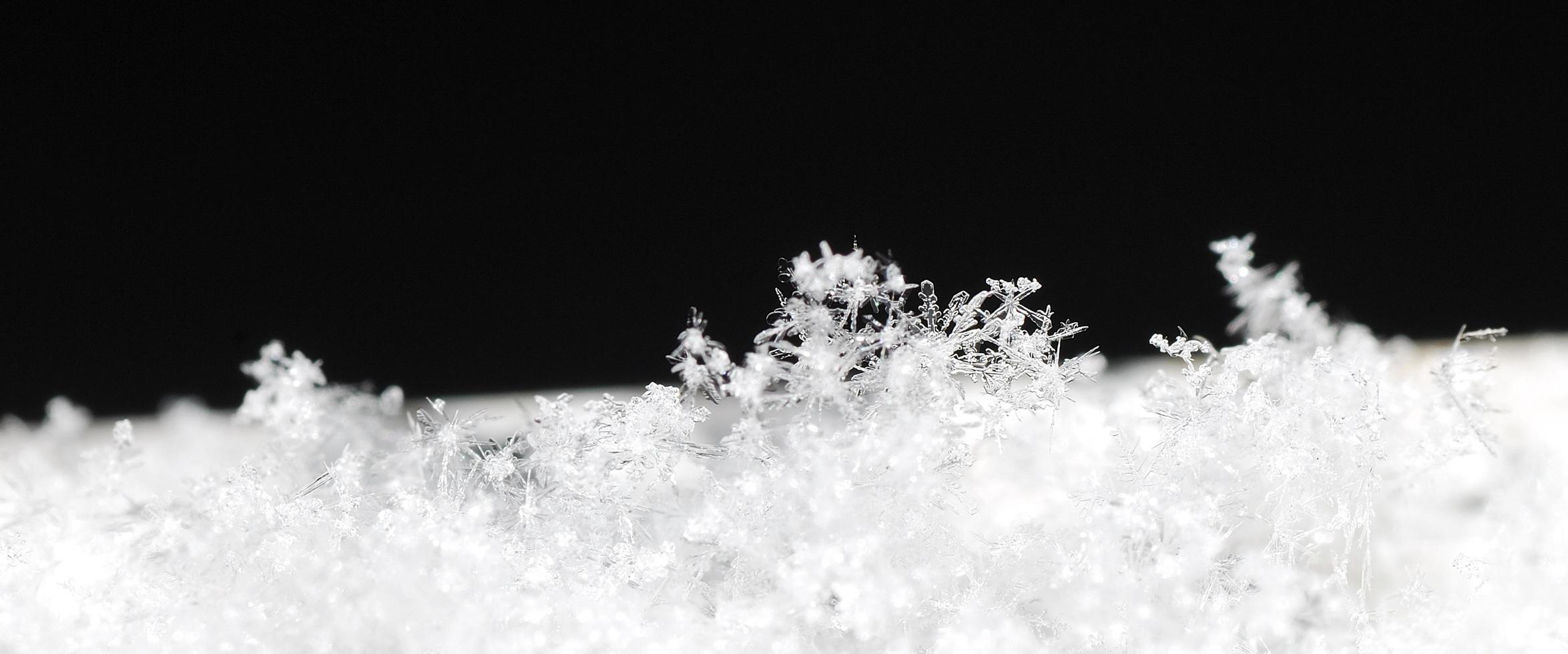 snow crystals panorama photo