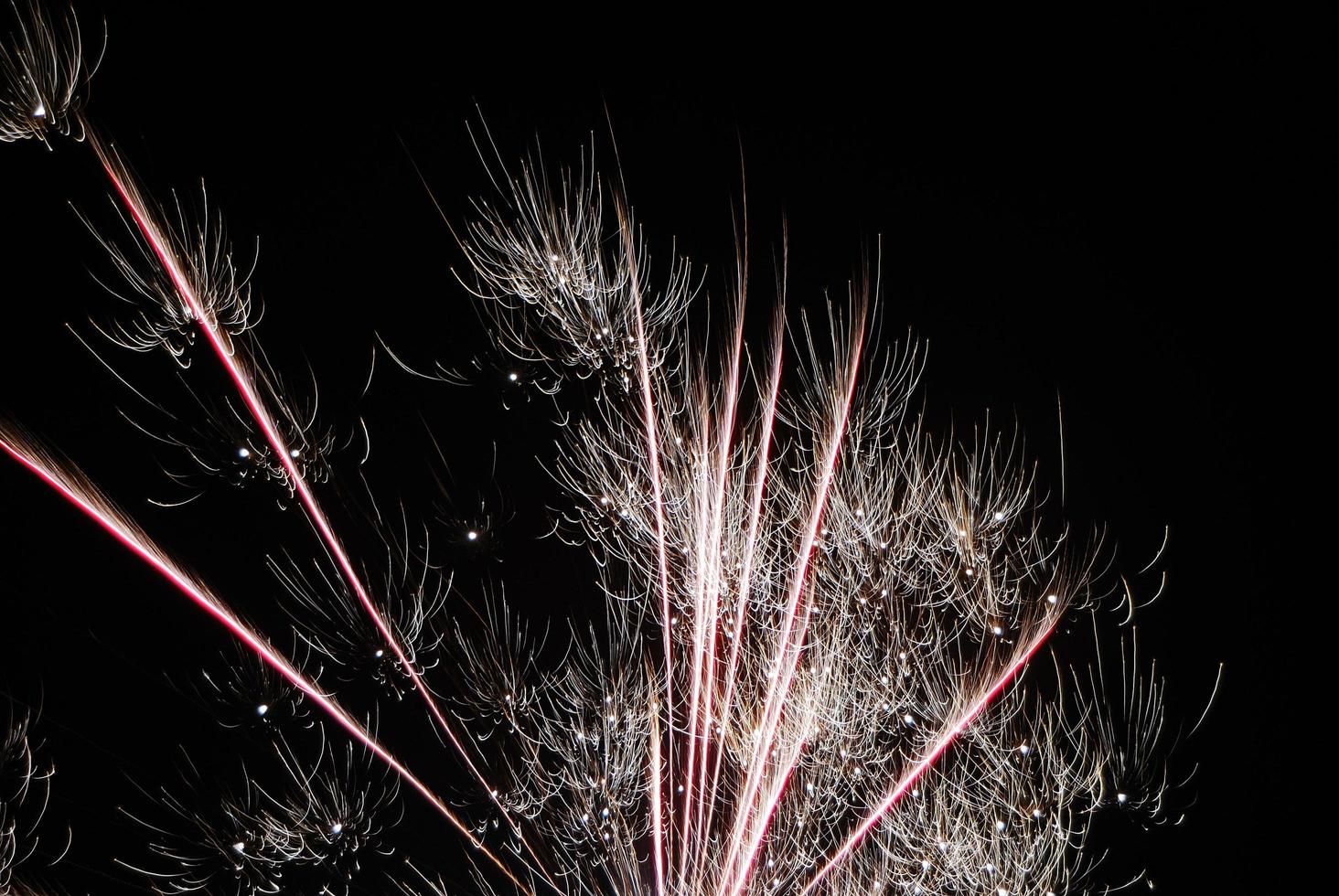 single high delicate silvery explosion at a fireworks display on new year's eve photo