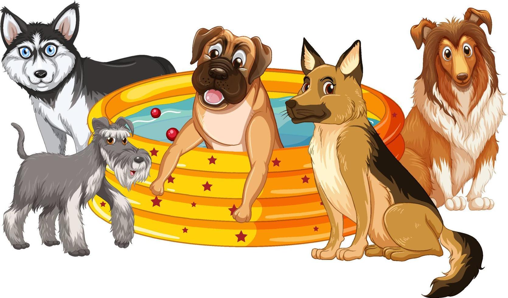 lindos cachorros en piscina de goma vector
