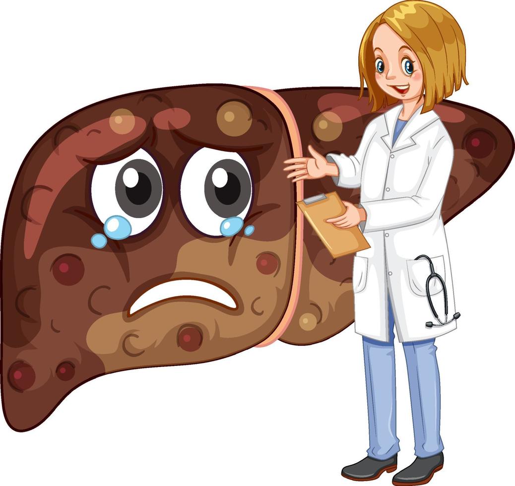 A doctor standing with fibrosis liver on white background vector
