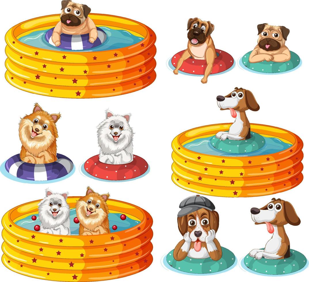 conjunto de perros en piscina amarilla vector