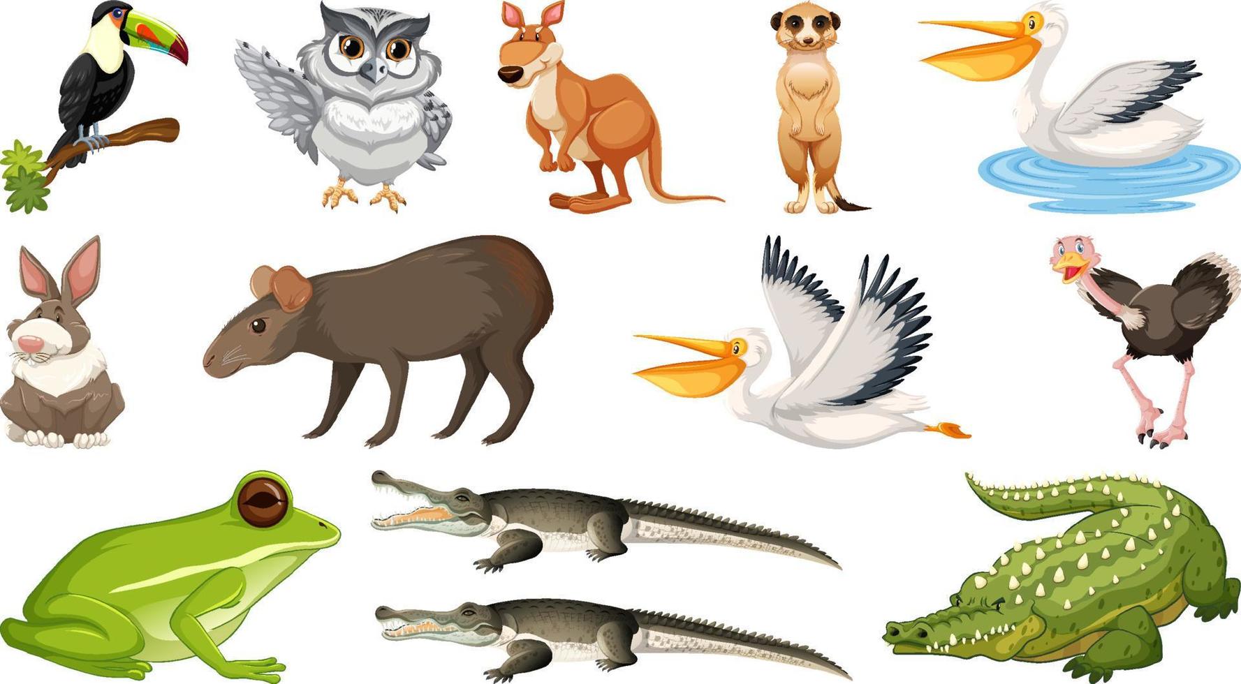 conjunto de diferentes animales salvajes vector