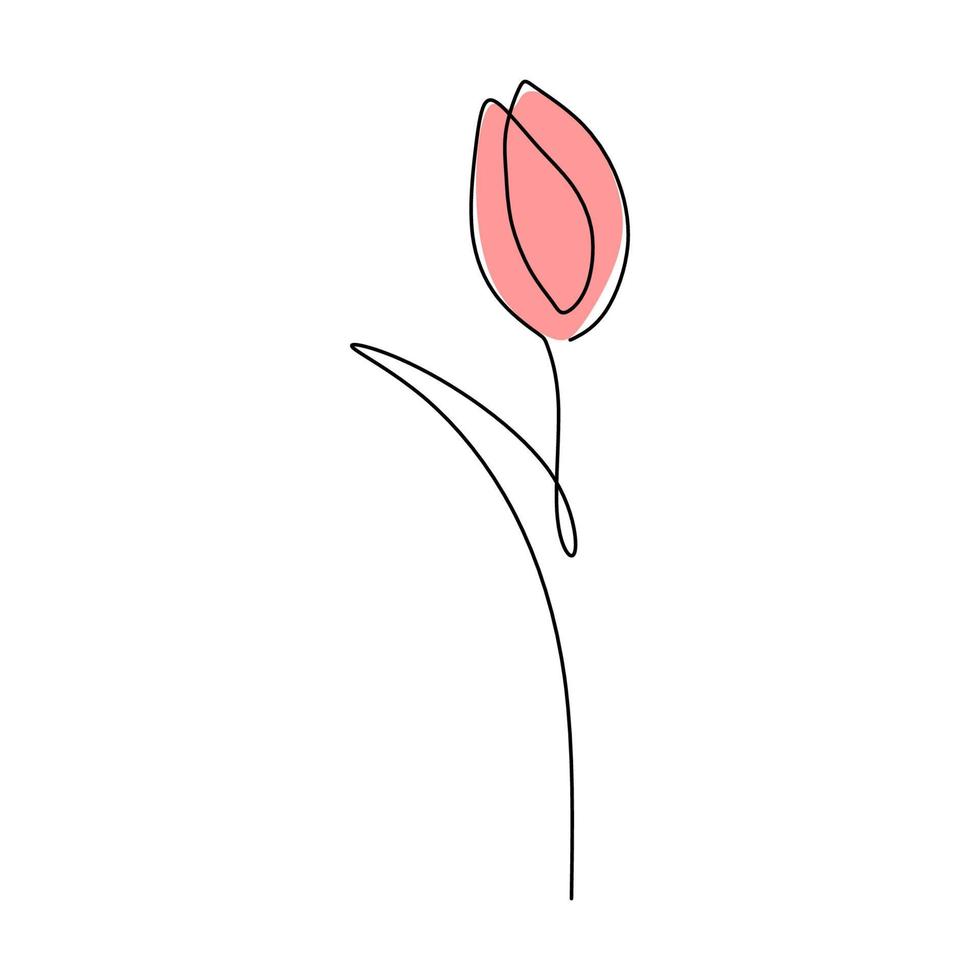 una sola línea continua de flor de primavera de tulipán con color rojo vector