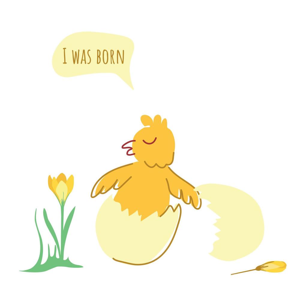 Cute chicken in an eggshell vector