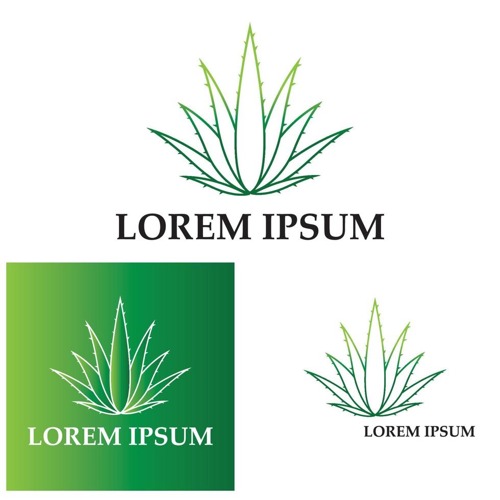 Aloe vera logo vector ilustration template
