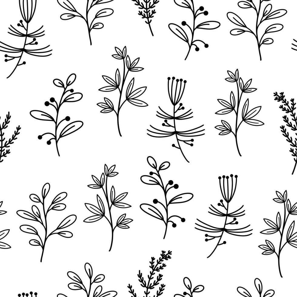 Seamless vector pattern with botanical elements. Flowers, branches with leaves, medicinal plants on a white background. Hand drawn doodle, twig outline. Monochrome. Sketch of herbs.