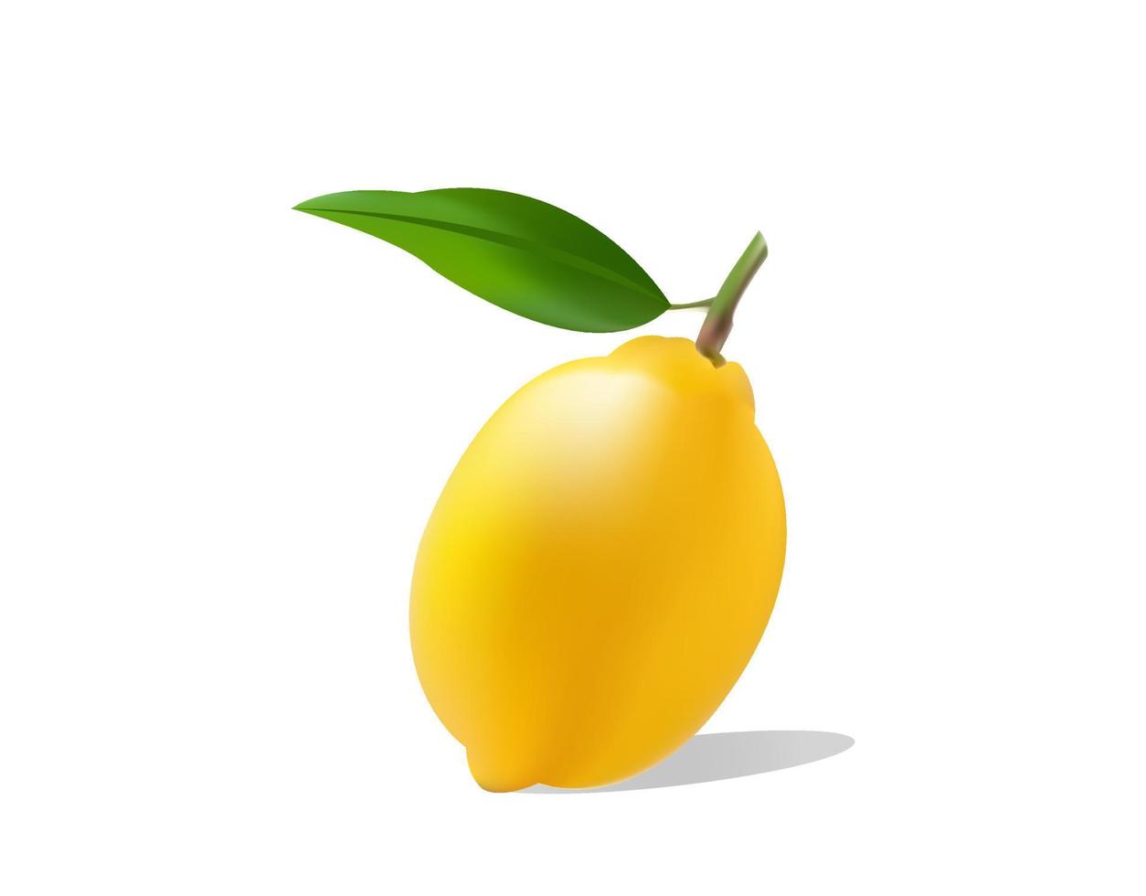 lemon 3d concept vector