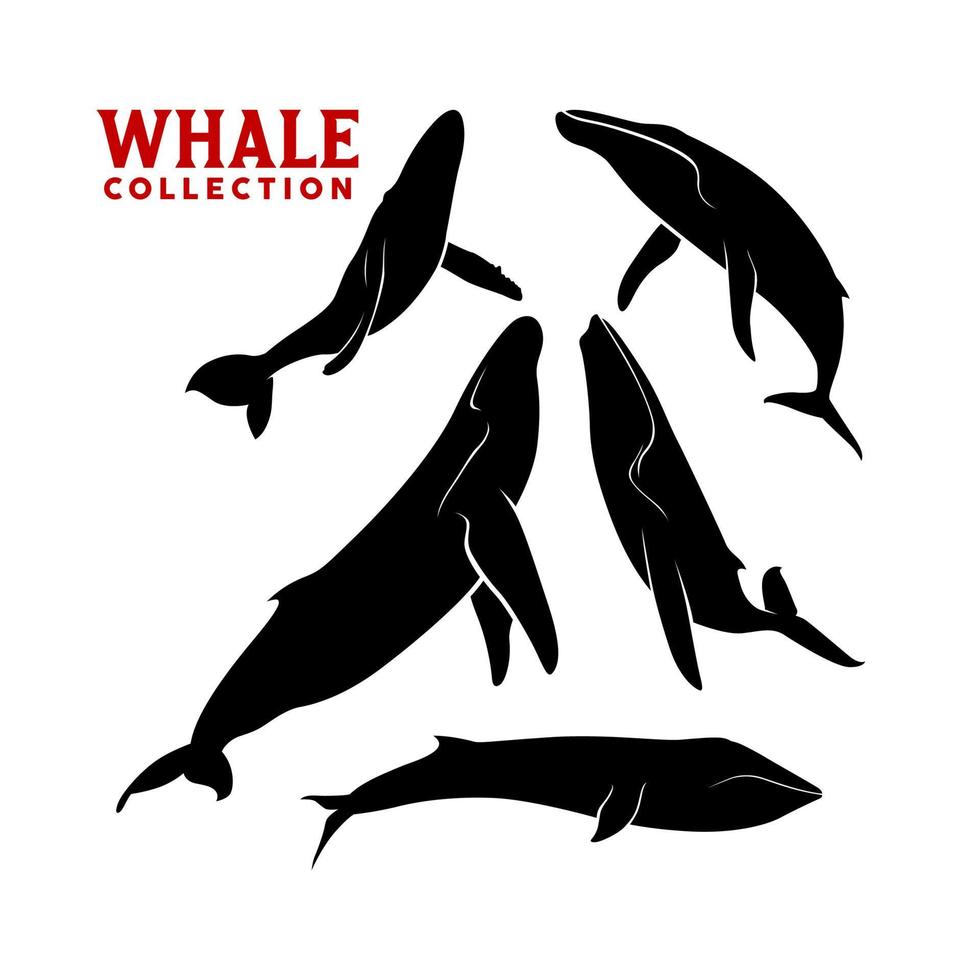 Giant Whale Sperm Narwhal cachalot Silhouette Vector Set