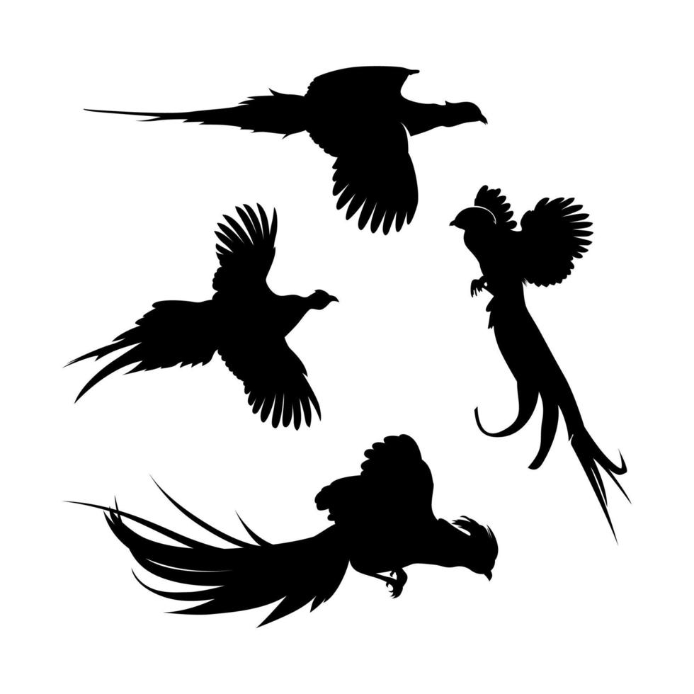 Flying Pheasant Silhouette Set Design Inspiration vector