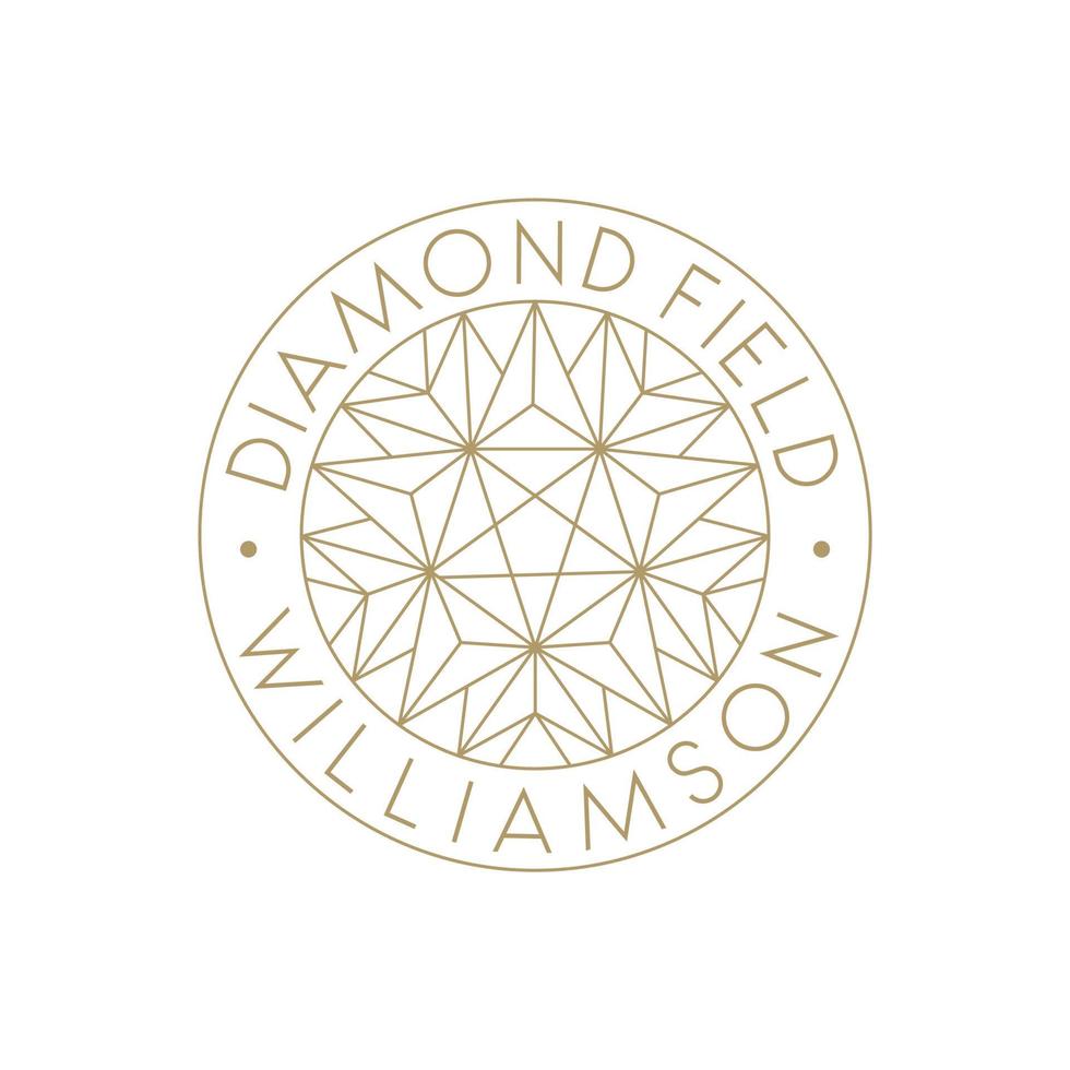 Simple Diamond and Stars Logo, Jewelery Shop Logo Or Diamond mining vector