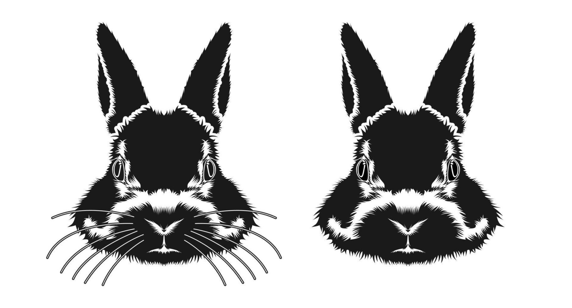 Rabbit Head Face Sketch Vector Design Inspiration