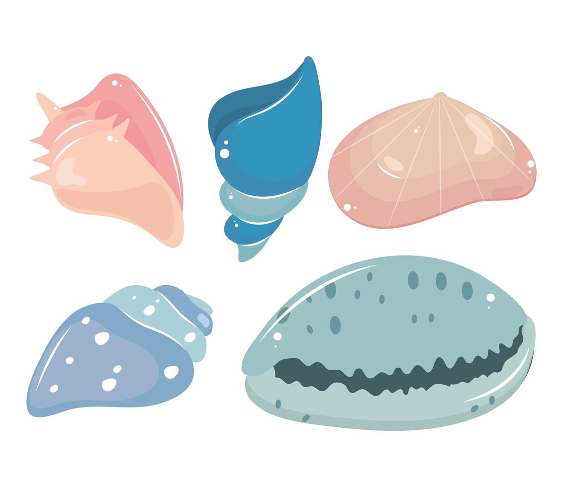 icons shells sea vector