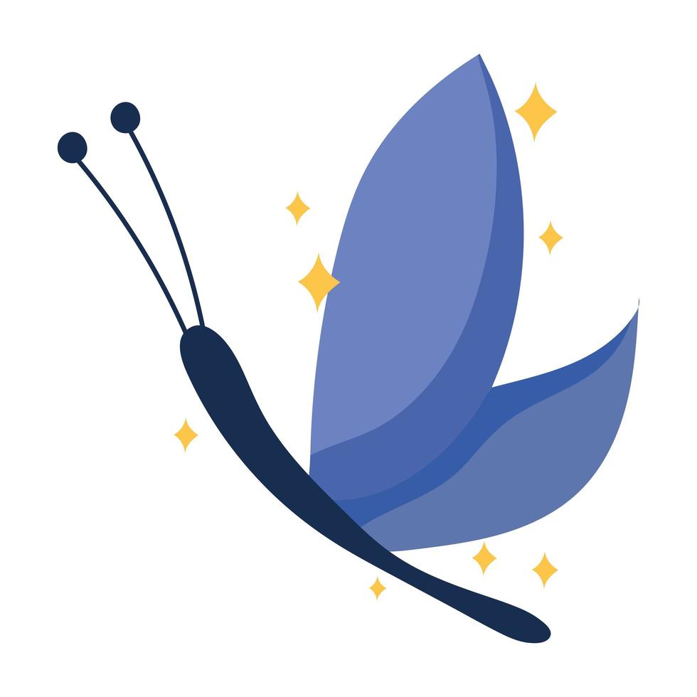 cute butterfly icon vector