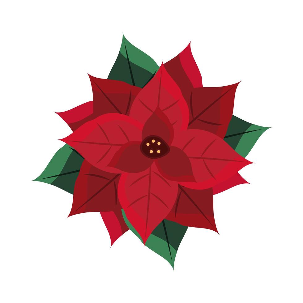 flor de nochebuena naturaleza vector