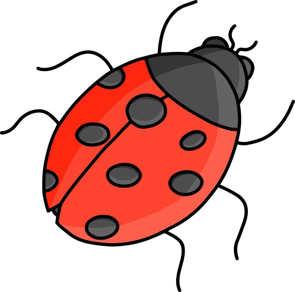 vector graphic illustration of a beetle for design needs or products such as children's books and others. simple flat illustration.