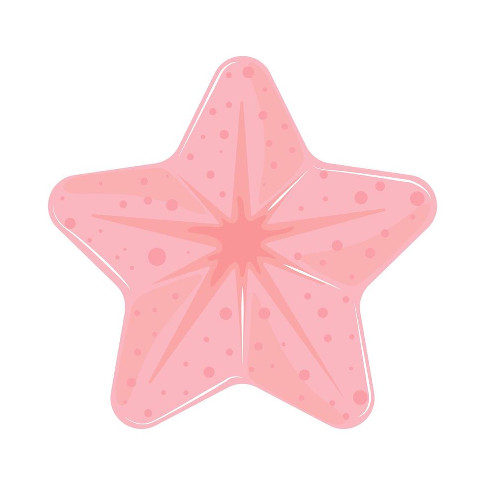 underwater world starfish vector