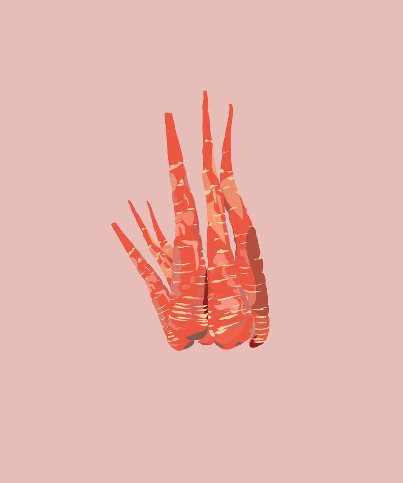 pink carrot vector art