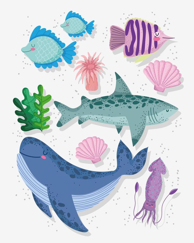 sea animals cartoon vector
