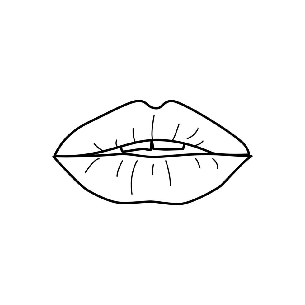 Female lips sketchy style. Outline kiss mouth. Plump lips art. Black vector illustartion isolated on white background
