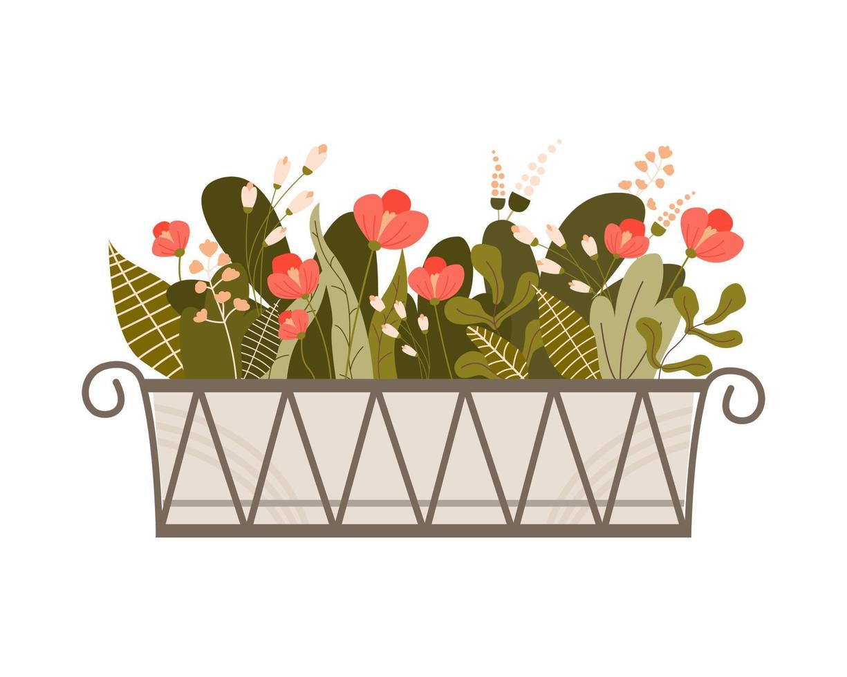 caja larga y baja con ventana con diferentes plantas y flores de crecimiento. balcón jardín verde. ilustración vectorial plana coloreada aislada sobre fondo blanco vector